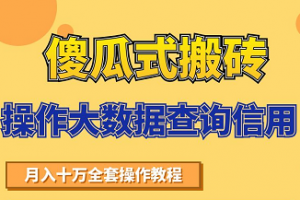 搬砖操作大数据查询信用项目赚钱教程，祝你快速月入6万