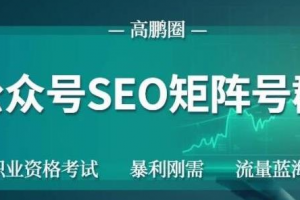 高鹏圈公众号SEO矩阵号群，实操20天纯收益25000+，普通人都能做