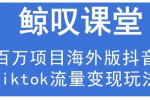 鲸叹号·海外TIKTOK训练营，百万项目海外版抖音tiktok流量变现玩法