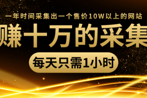 年赚十万的采集站，每天却只需要1小时，一年时间采集出一个售价10W以上的网站