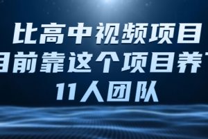 比高中视频项目，目前靠这个项目养了11人团队【视频课程】