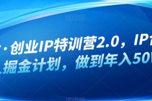 白龙·创业IP特训营2.0，IP合伙人掘金计划，做到年入50W