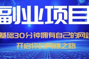 零基础30分钟拥有自己的网站，日赚1000+，开启你的网赚之路（教程+源码）