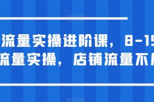 淘宝流量实操进阶课，8-15天放大流量实操，店铺流量不用愁