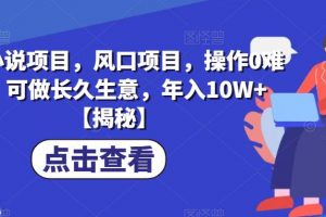 B站小说项目，风口项目，操作0难度，可做长久生意，年入10W+【揭秘】