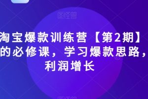 2023淘宝爆款训练营【第2期】，电商运营的必修课，学习爆款思路，实现利润增长