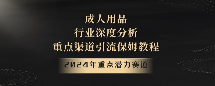 2024年重点潜力赛道，成人用品行业深度分析，重点渠道引流保姆教程【揭秘】