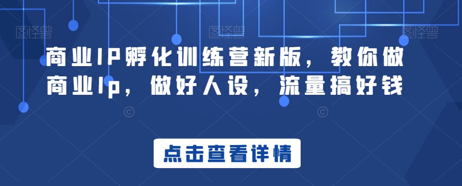 商业IP孵化训练营新版，教你做商业Ip，做好人设，流量搞好钱