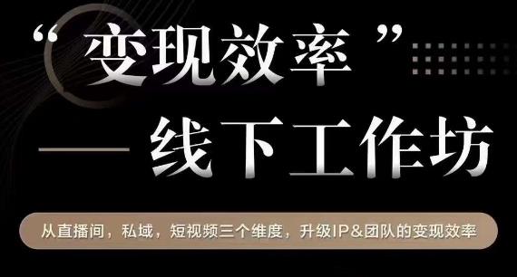 变现效率线下工作坊，从‮播直‬间、私域、‮视短‬频‮个三‬维度，升级IP和团队变现效率