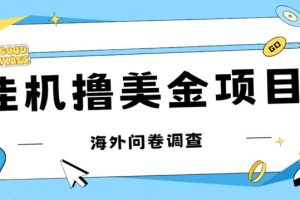 最新挂机撸美金礼品卡项目，可批量操作，单机器200+【入坑思路+详细教程】