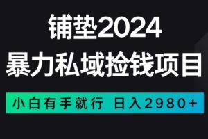 暴力私域捡钱项目，小白无脑操作，日入2980【揭秘】