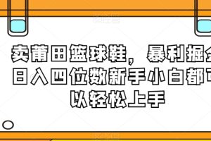 卖莆田篮球鞋，暴利掘金日入四位数新手小白都可以轻松上手【揭秘】