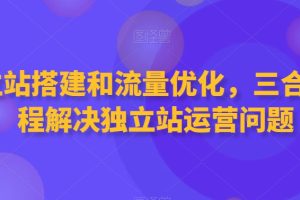 独立站搭建和流量优化，三合一课程解决独立站运营问题