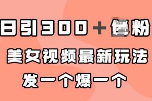 日引300＋男粉，美女视频最新玩法，发一个爆一个【揭秘】