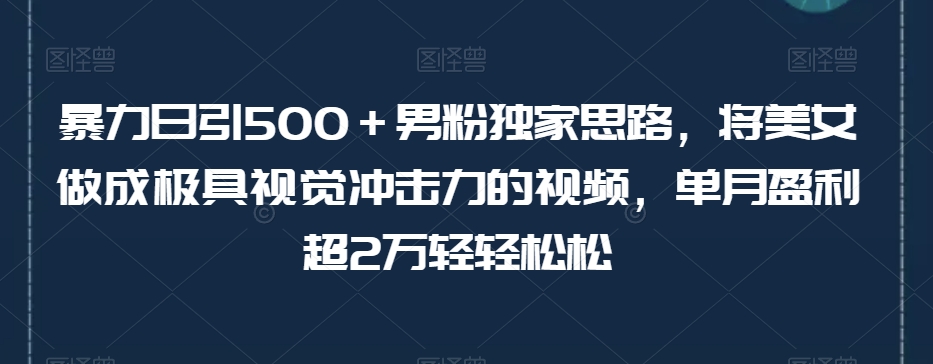 暴力日引500＋男粉独家思路，将美女做成极具视觉冲击力的视频，单月盈利超2万轻轻松松