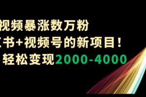 1条视频暴涨数万粉–小红书+视频号的新项目！单月轻松变现2000-4000【揭秘】