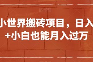 QQ小世界搬砖项目，日入500+小白也能月入过万【揭秘】