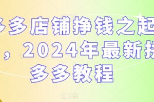 多多店铺挣钱之起店，2024年最新拼多多教程