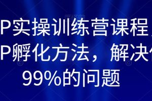 百万IP实操训练营课程，完整的IP孵化方法，解决做号99%的问题