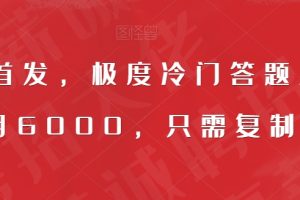 全网首发，极度冷门答题项目，一月6000，只需复制粘贴【揭秘】