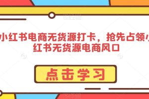 小红书电商无货源打卡，抢先占领小红书无货源电商风口