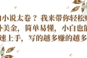 国内小说太卷 ?带你轻松赚取老外美金，简单易懂，小白也能快速上手，写的越多赚的越多【揭秘】