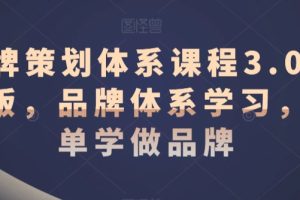 品牌策划体系课程3.0升级版，品牌体系学习，简单学做品牌