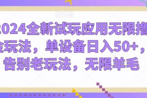 2024全新试玩应用无限撸金玩法，单设备日入50+，告别老玩法，无限羊毛【揭秘】