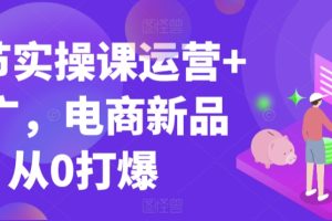 99节实操课运营+推广，电商新品从0打爆