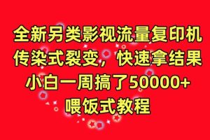 全新另类影视流量复印机，传染式裂变，快速拿结果，小白一周搞了50000+，喂饭式教程【揭秘】