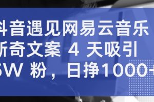 抖音遇见网易云音乐，新奇文案 4 天吸引 5W 粉，日挣1000+【揭秘】