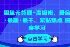 闲鱼无货源-高级班，最全·最新·最干，紧贴热点 深度学习