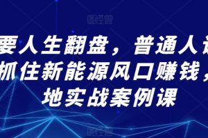 想要人生翻盘，普通人该如何抓住新能源风口赚钱，落地实战案例课