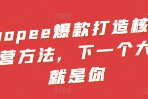 Shopee爆款打造核心运营方法，下一个大卖就是你