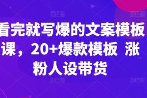 看完就写爆的文案模板课，20+爆款模板  涨粉人设带货