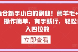 最适合新手小白的副业！薅羊毛+躺赚，操作简单，有手就行，轻松日入四位数【揭秘】